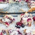 Berry Citrus Poppy Seed Bars