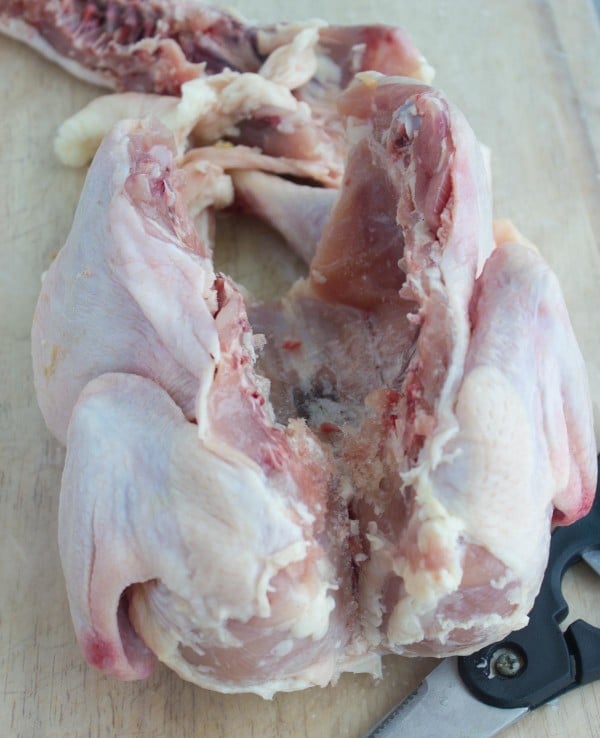 step-by-step-pictures on how to butterfly a chicken