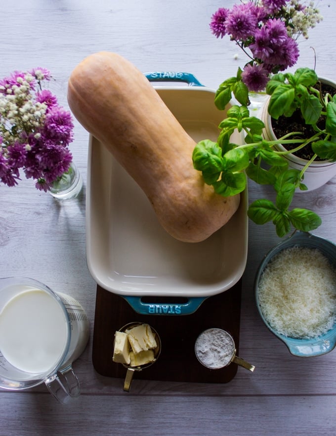 A butternut squash in a plate surrounded by milk, parmesan cheese, basil, flour , butter. Ingredients for the squash lasagna