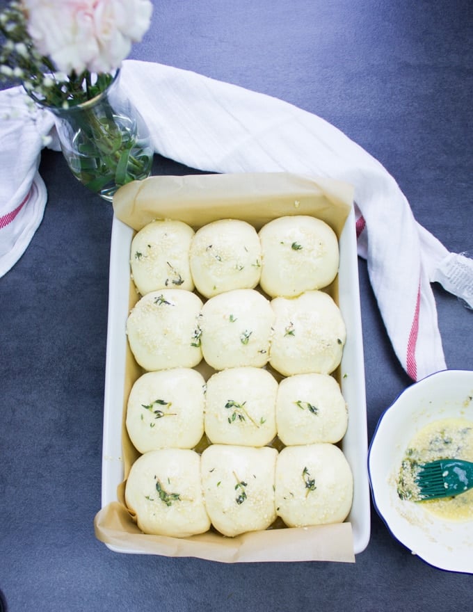 Dinner rolls shaped in the pan and ready to go in the oven