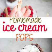 Long Pin for Homemade Ice Cream Pops