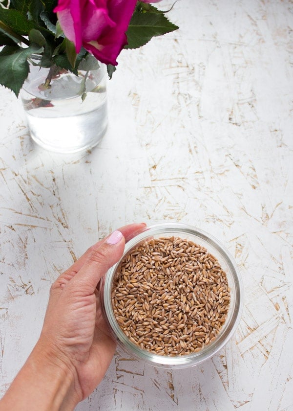 a hand holding a small glass bowl with uncooked farro grains against a white background.