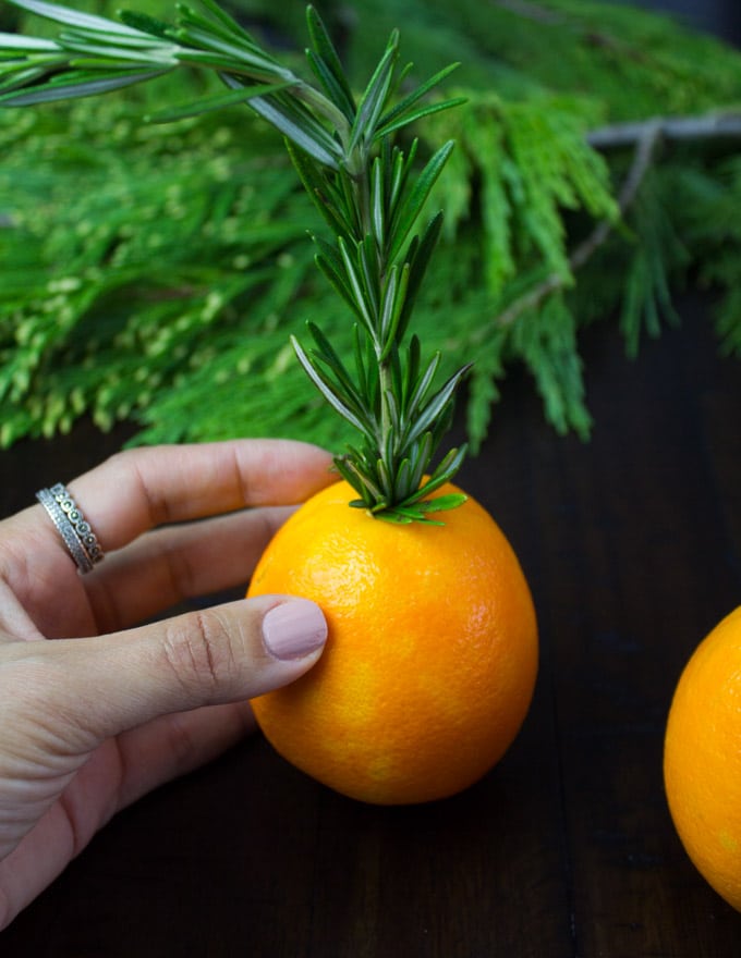 a sprig of rosemary being inserted into an orange to make a festive table centerpiece