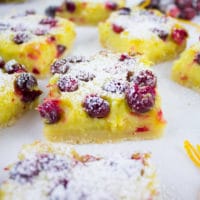 Orange Lemon Squares with Cranberries. Perfectly balanced squares of citrus, tang and sweet!