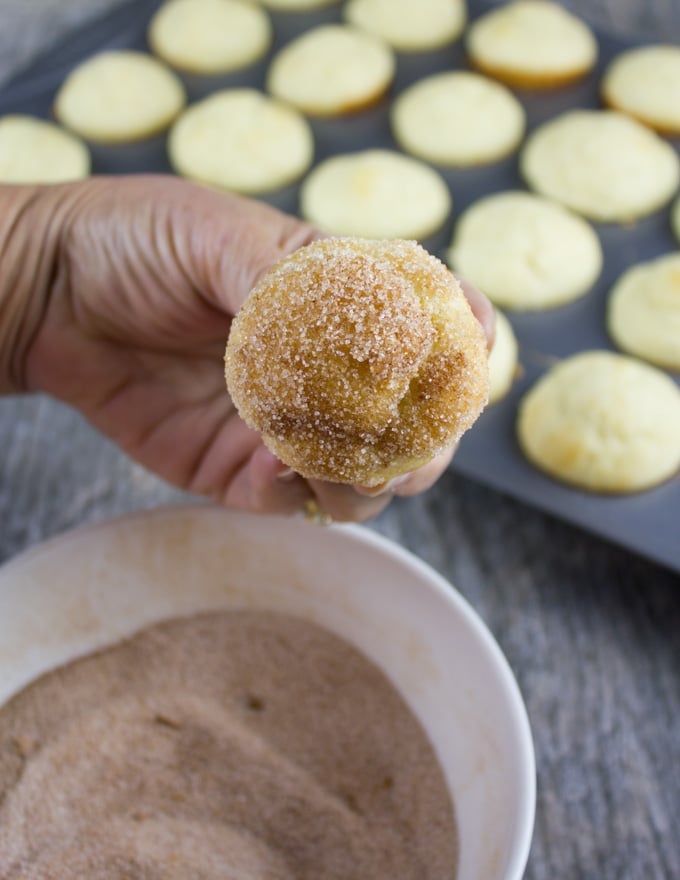 a hand holding a cinnamon sugar-dusted donut hole into the camera