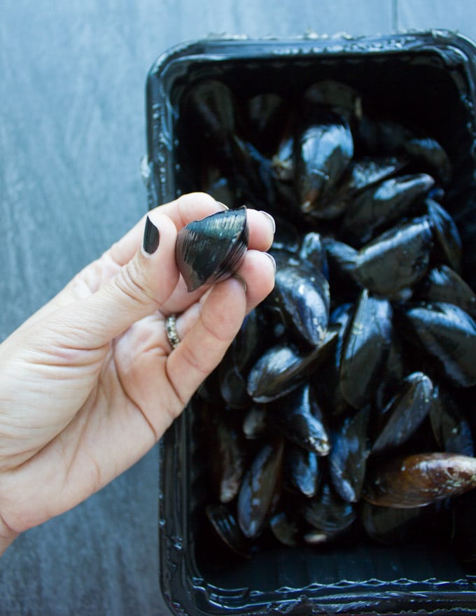 A hand holding a fresh water mussels ready to get it cleaned