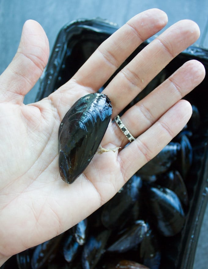 A hand holding a flat mussel showing the thread that needs to be cleaned out from the mussel