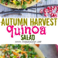 Autumn Harvest Quinoa Salad - Pin