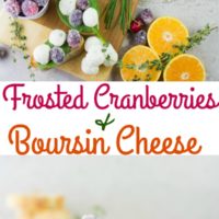 Frosted Cranberries Pin