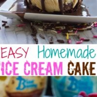Mini Ice Cream Cakes - pin