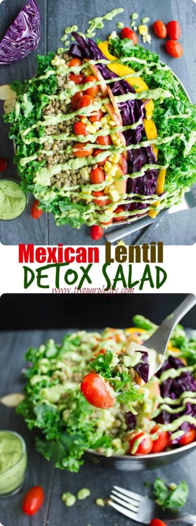 Mexican Lentil Detox Salad | This easy vegan salad with mangoes, soybeans, cabbage, kale, corn and apple slices is just what the doctor ordered! Serve this easy Mexico-inspired salad with my Green Goddess Guacamole Dressing for a healthy paleo meal. | www.twopurplefigs.com | #vegan, #salad, #Mexican, #paleo, #detox, #cleaneating, #easy, #mealprep