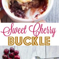 Sweet Cherry Buckle- Pin