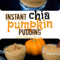 Instant Chia Pumpking Pudding