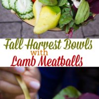Long pin for Fall Harvest Bowl with Lamb Meatballs Recipe