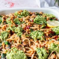 close up of a broccoli pesto pasta plate showing the dollops of broccoli pesto close up immersed into the pasta