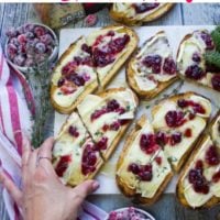 Long Pin for Baked Brie Toast with Cranberries