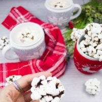 Long Pin Oreo Cookie Balls With Marshmallows