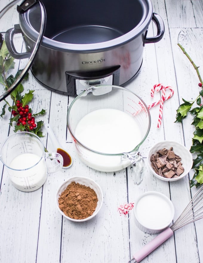 ingredients for the hot chocolate recipe: milk, cream, cocoa powder, chocolate chips, sugar