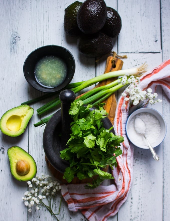 Guacamole Ingredients: avocados, lime juice, salt, cilantro, scallions