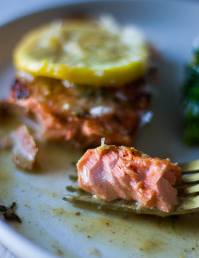 A fork breaking up a piece of sockeye salmon recipe showing how succulent and flakey the salmon is