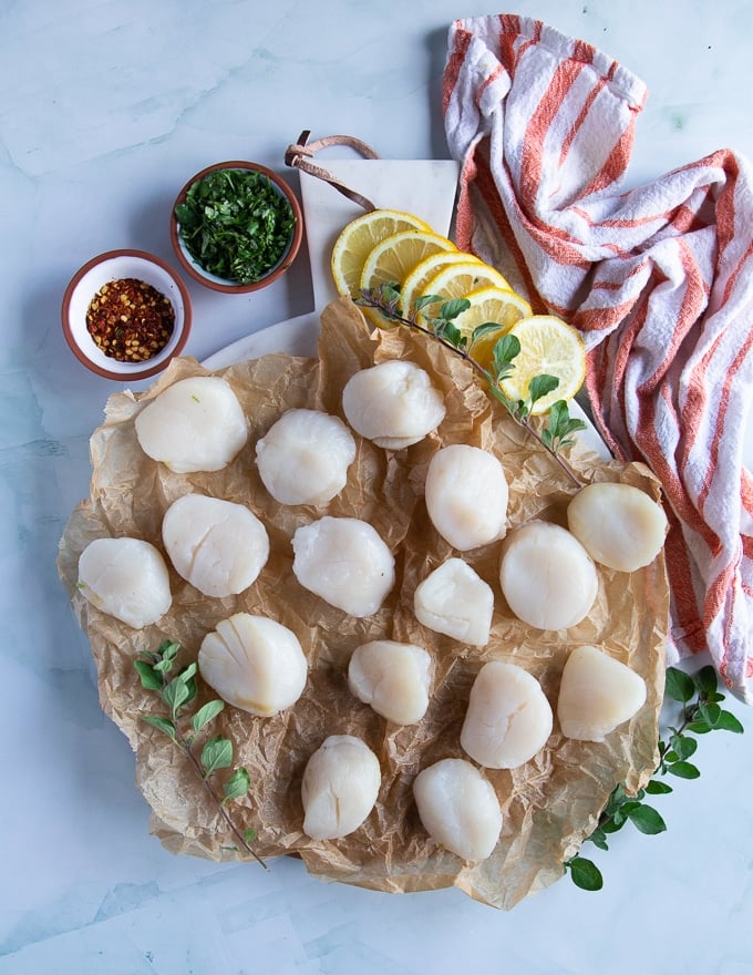 fresh scallops on a parchment paper on a cooking board surrounded by lemon slices and fresh herbs