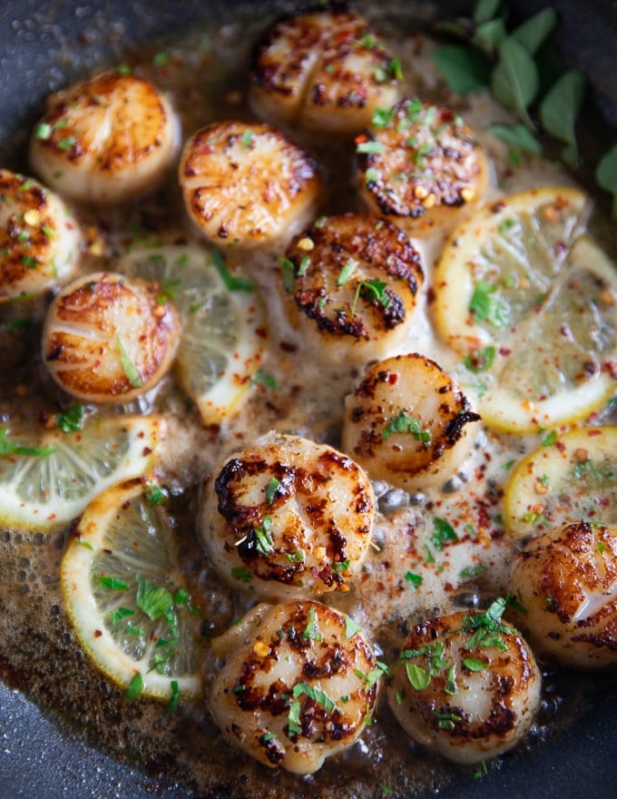 close up of pan seared scallops recipe