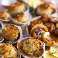 close up of baked scallops in their shells cooked out of the oven and golden