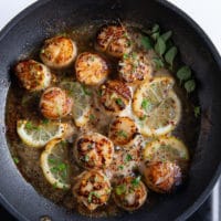 finished pan seared scallops with lemon slices and fresh herbs added in the skillet