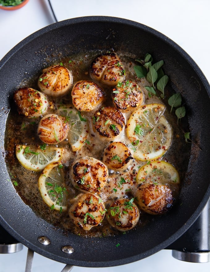 finished pan seared scallops with lemon slices and fresh herbs added in the skillet 