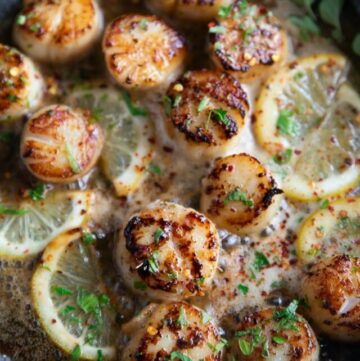 close up of pan seared scallops recipe