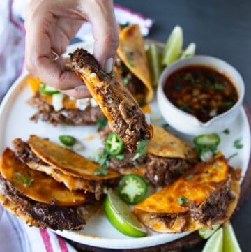 A hand holding a birria taco over a plate of tacos and showing the texture of the meat and cheese and details of the tacos