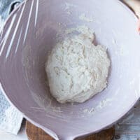 Mixed no-knead pizza dough, ready to rise.