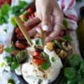 A hand holding a chunk of burrata salad with tomatoes and basil caprese