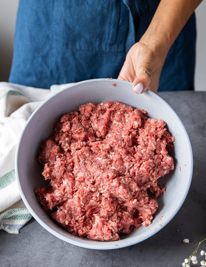 Perfectly seasoned meat to make homemade sausage 