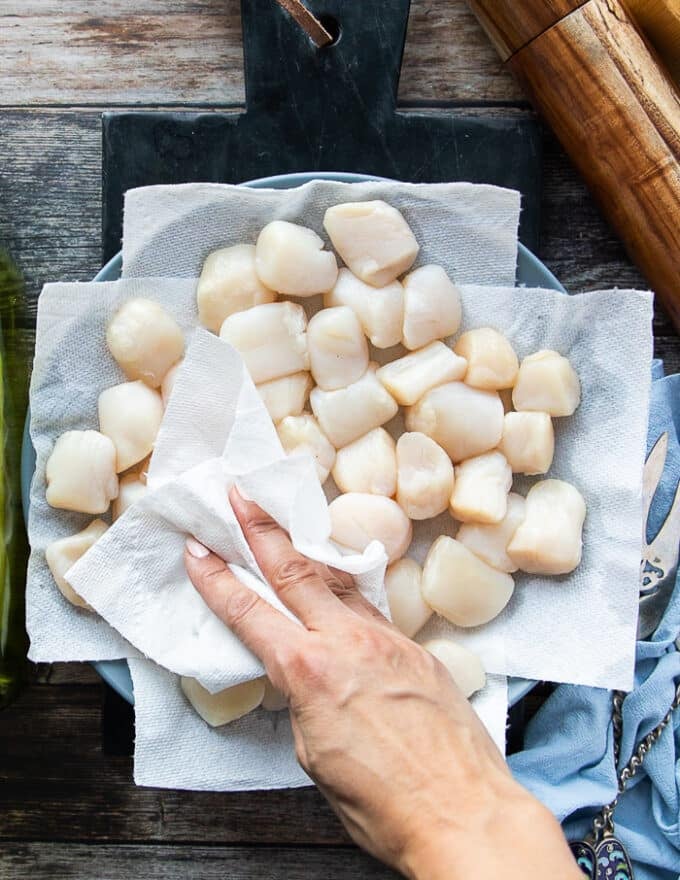 A hand patting down the scallops dry using paper towels