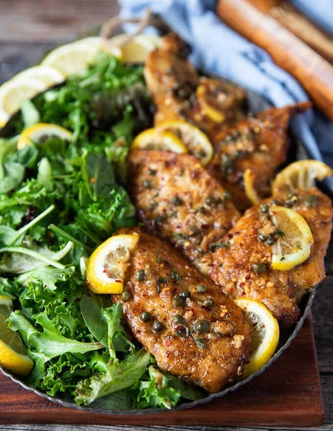 close up of chicken scallopini served on a plate with lemon slices, capers and some fresh parsley on top