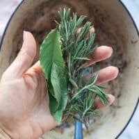 A hand holding fresh rosemary sprigs and bay leaves