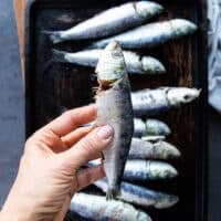 A hand holding a fresh healthy sardine showing details of how to buy