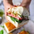 A hand holding a piece of caprese sandwich closeup