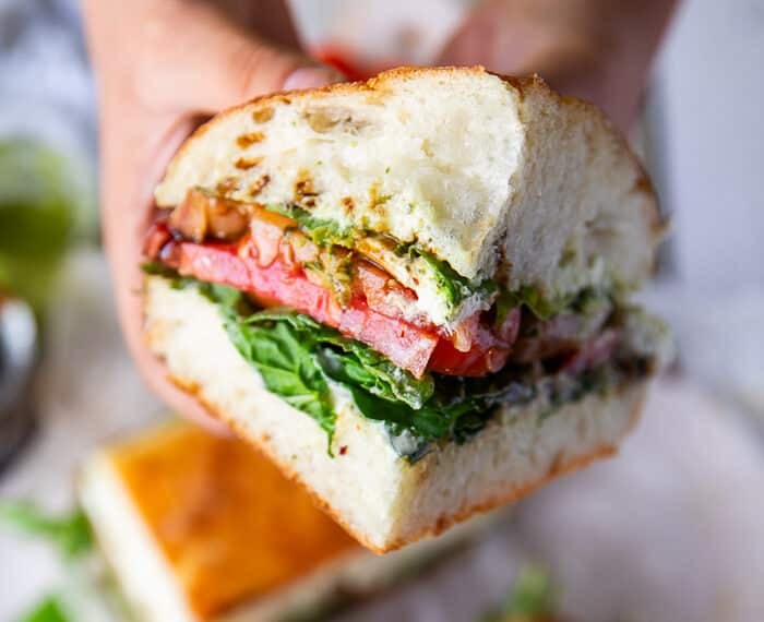 A hand holding a piece of caprese sandwich closeup