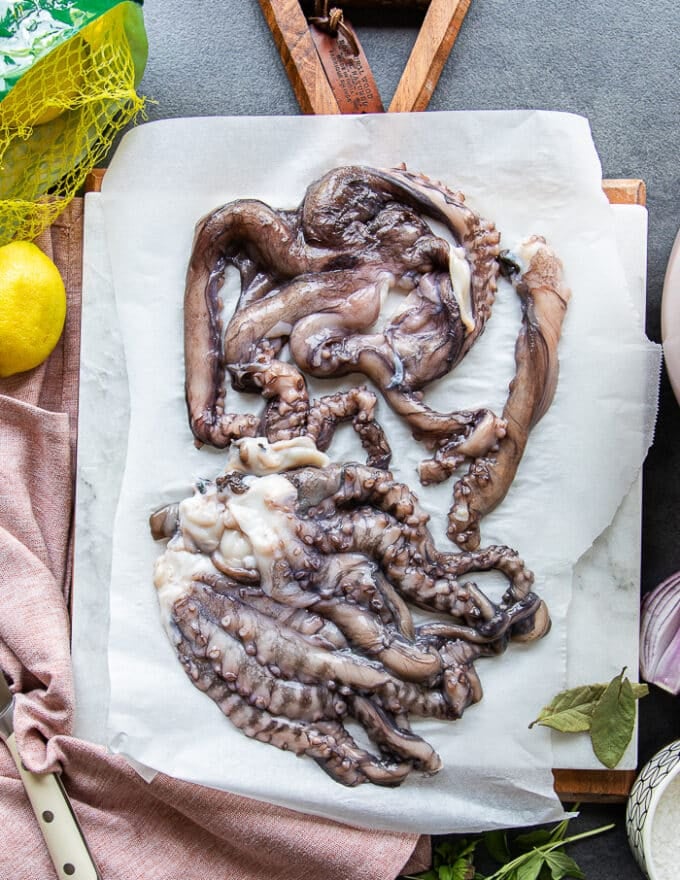 Fresh small-medium size octopus on parchment paper