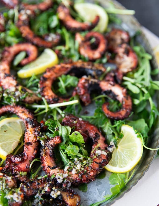 close up of the grilled octopus recipe perfectly cooked tender and tasty