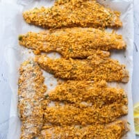 All the haddock fillets coated and placed on a baking sheet ready for baking