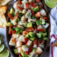 close up of a shrimp ceviche plate made up of avocados, red onions, tomatoes, cucumbers, shrimp, cilantro and surrounded by tortilla chips