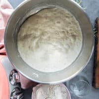 The starter in a bowl the next morning showing it poofed and activated to make the fougasse dough