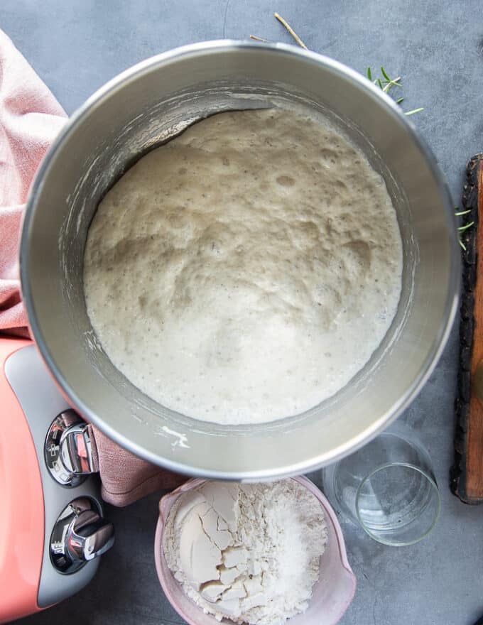 The starter in a bowl the next morning showing it poofed and activated to make the fougasse dough 