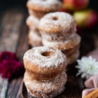 cinnamon sugar coating close up on apple cider donuts