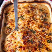 close up of scalloped potatoes portion removed with a spoon showing the texture of the cooked soft potatoes and a cheesy top golden crust