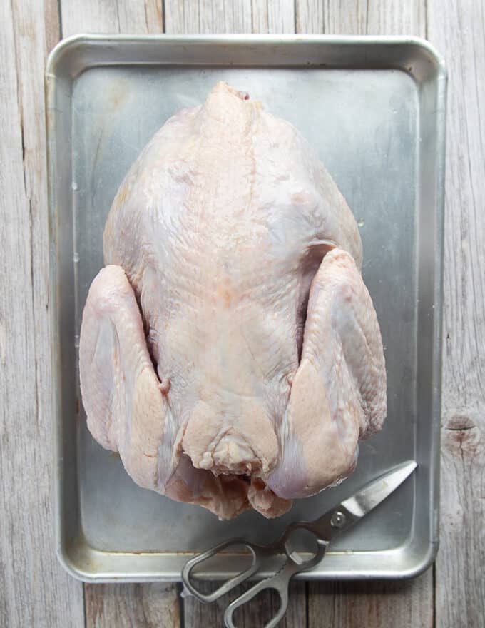 A whole turkey laying on a baking sheet, defrosted