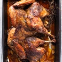 golden roasted spatchcock turkey on the roasting pan ready out of the oven